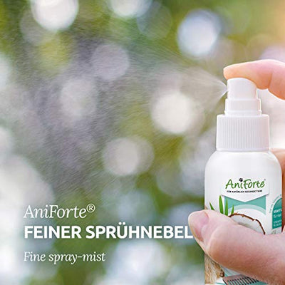 AniForte Fellharmonie Pflegespray Kokos Entfilzungsspray Katzen & Hunde 200ml - Sanfte Pflege für Fell & Haut, Fellspray, Fellpflege Spray für glänzendes Fell, Entfilzung, Kämmhilfe & Entwirrungsspray