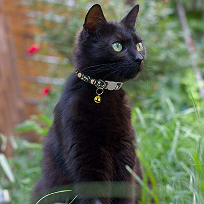 TagME Personalisiertes Katzenhalsband, Katzenhalsband Sicherheitsverschluss, Mit Name und Telefonnummer, 2-Stück Verstellbar Halsband Katze Kitten, Schwarz