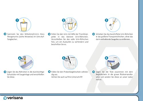 Jodmangel Test Kit – Jod Test auf Jod und Kreatinin – Einfach & bequem zu Hause bestimmen – Jodmangel und Schilddrüse – Verisana Labor