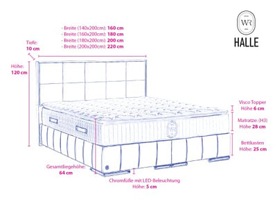 Halle Boxspringbett mit Bettkasten Velourstoff 200 x 200 cm/Navyblau/LED-Fuß