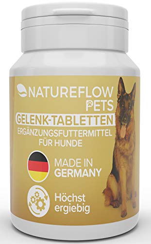 Gelenktabletten für Hunde - mit Grünlippmuschel, MSM und Teufelskralle - Hohe Akzeptanz beim Hund da keine Kapseln - 100 Tabletten für bis zu 6 Monate - In Deutschland hergestelltes Ergänzungsfutter