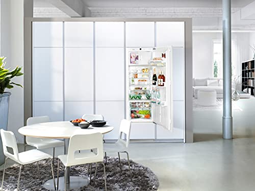 Liebherr IKBP 2964 Premium BioFresh Kühlschrank, integriert, 253 l F