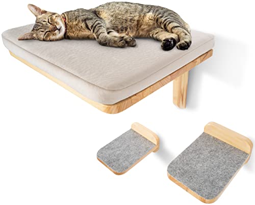 Neu I WOOWOOD Katzen-Kletterwand 2.0 I Innovative Katzen-Hängematte I inkl. 2 Katzentreppen I Katzen-Bett I Katzenmöbel I Wandkratzbaum I 3-teilig