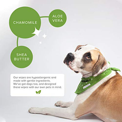 Earth Rated Kompostierbare Reinigungstücher für Hunde, 100 Stück, duftfrei