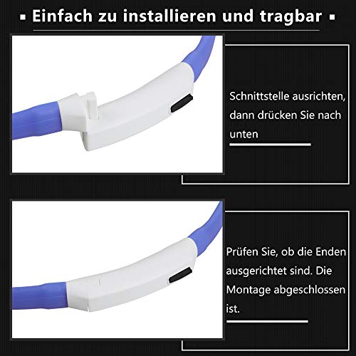 Zacro Leuchthalsband Hund 2 Stück Hundehalsband Leuchtend USB Wiederaufladbares und Längenverstellbareres Hunde Halsband mit DREI Beleuchtungsmodi für Hunde und Katzen