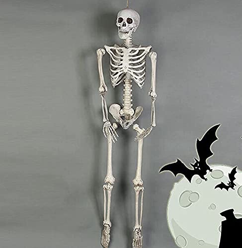 WKLIANGYUANPING Halloween Deko Halloween-Skelett mit beweglichen beweglichen Gelenken, Halloween-Dekoration Menschliches Skelett Modell Party-Prop-Friedhof Geisterhaus Dekor (Size : 170cm)