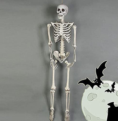 WKLIANGYUANPING Halloween Deko Halloween-Skelett mit beweglichen beweglichen Gelenken, Halloween-Dekoration Menschliches Skelett Modell Party-Prop-Friedhof Geisterhaus Dekor (Size : 170cm)