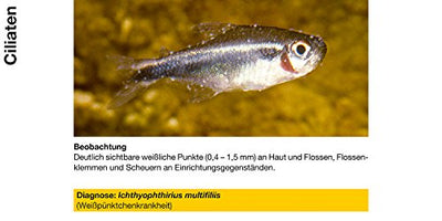 sera costapur F 50 ml - Arzneimittel für Fische gegen Ichthyophthirius multifiliis und andere einzellige Hautparasiten, Medizin fürs Aquarium