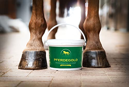 Pferdegold® Magen – Pellets zur Regulierung der Magensäure, für eine gesunde Darmflora, natürliches Ergänzungsfutter für Pferde, dopingfrei, hergestellt in Deutschland, 1,5 kg