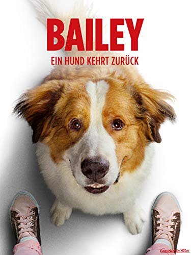 Bailey - Ein Hund kehrt zurück