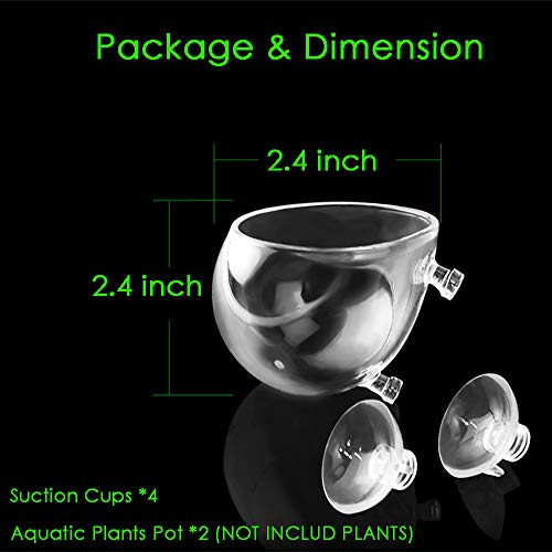 capetsma 2 x Glass Aquarium Plant Pot Aquatic Planter, Live Plants Aquarium Glashalter Aquascape Dekoration F¨¹R Fisch Tank