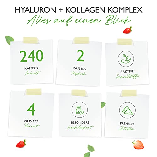 Hyaluronsäure Kollagen Komplex - 240 Kapseln - Premium: Mit bioaktives Biotin, Selen, Zink, natürliches Vitamin C aus Acerola & Silizium aus Bambus - Laborgeprüft