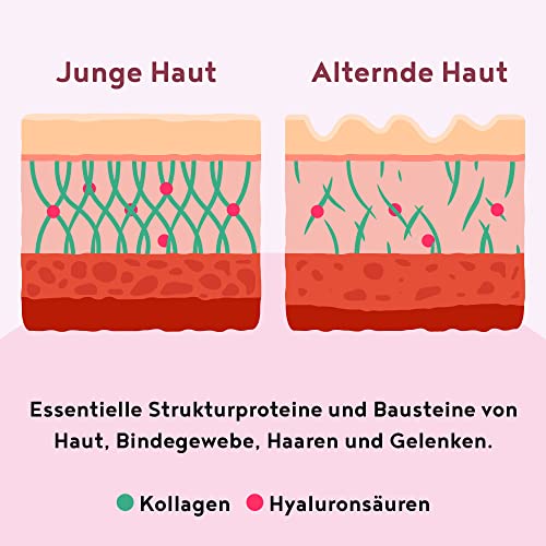 Vegan Collagen Formation Support mit Hyaluronsäure, Vitamin C aus Camu-Camu und Silicea - Pflanzliche Alternative zu konventionellem Kollagen - Himbeere - 400g Collagen Pulver