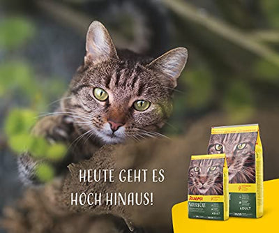 JOSERA NatureCat (1 x 10 kg) | getreidefreies Katzenfutter mit Geflügel- und Lachsprotein | Super Premium Trockenfutter für ausgewachsene Katzen | 1er Pack