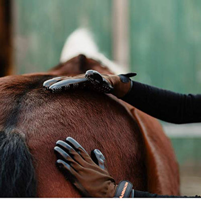 Animalon Fellpflege Handschuh aus Kautschuk (Doppelpack) | innovativer und praktischer Fellwechsel-Helfer für Pferde und Hunde | Gummi-Striegel-Handschuh für Pferde besonders im Fellwechsel (L)