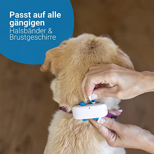 Tractive GPS DOG 4. Tracker für Hunde. Immer wissen, wo dein Hund ist. Halte ihn mit Aktivitätstracking fit. Unbegrenzte Reichweite. (Schneeweiß)