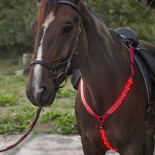 LED-Pferdegeschirr-Halsband – hohe Sichtbarkeit für Reiten, verstellbare Sicherheitsausrüstung – verstellbar, robust und bequem für Reitsport bei Nacht.