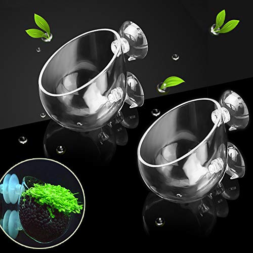 capetsma 2 x Glass Aquarium Plant Pot Aquatic Planter, Live Plants Aquarium Glashalter Aquascape Dekoration F¨¹R Fisch Tank