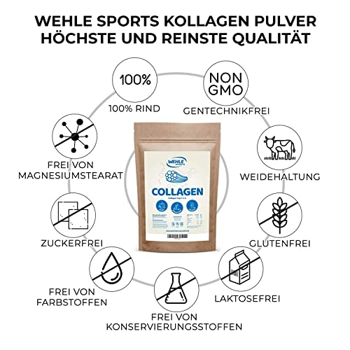 Collagen Pulver 1kg - Bioaktives Kollagen Hydrolysat Peptide I Eiweiß-Pulver Geschmacksneutral I Wehle Sports Made in Germany Kollagen Typ 1 2 3 Lift Drink