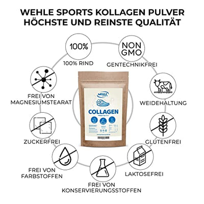 Collagen Pulver 1kg - Bioaktives Kollagen Hydrolysat Peptide I Eiweiß-Pulver Geschmacksneutral I Wehle Sports Made in Germany Kollagen Typ 1 2 3 Lift Drink