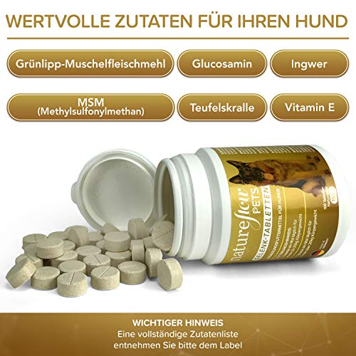 Gelenktabletten für Hunde - mit Grünlippmuschel, MSM und Teufelskralle - Hohe Akzeptanz beim Hund da keine Kapseln - 100 Tabletten für bis zu 6 Monate - In Deutschland hergestelltes Ergänzungsfutter