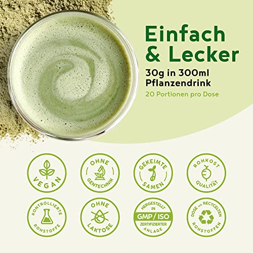 Morning Fuel Vanille Matcha Shake - Morgens Satt & Gesund, Vitamin- und Nährstoffreiche Frühstücksmischung mit Protein aus gekeimten Samen, Quinoa & Mandeln - 600 Gramm Pulver