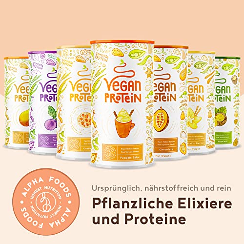 Vegan Protein - PUMPKIN SPICE - Pflanzliches Proteinpulver aus gesprossten Reis, Erbsen, Sojabohnen, Leinsamen, Amaranth, Sonnenblumen- und Kürbiskernen - 600g Pulver