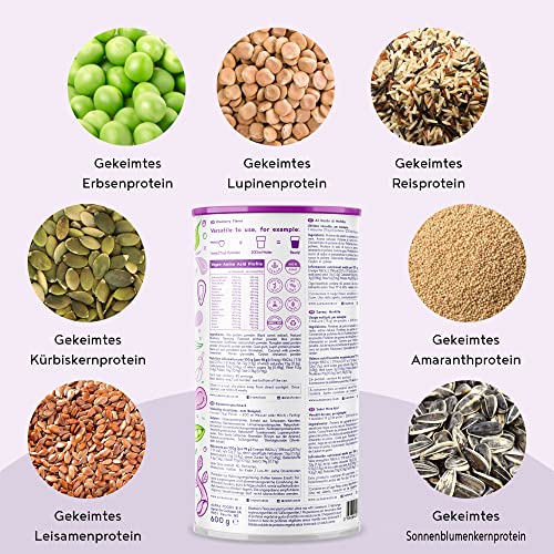 Vegan Protein - BLAUBEERE - Pflanzliches Proteinpulver aus Reis, Lupinen, Erbsen, Chia-Samen, Leinsamen, Amaranth, Sonnenblumen- und Kürbiskernen - 600 Gramm Pulver