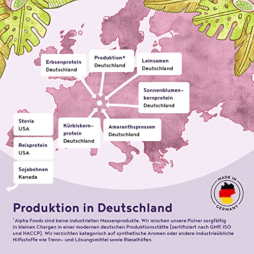 Vegan Protein - BLAUBEERE - Pflanzliches Proteinpulver aus Reis, Lupinen, Erbsen, Chia-Samen, Leinsamen, Amaranth, Sonnenblumen- und Kürbiskernen - 600 Gramm Pulver