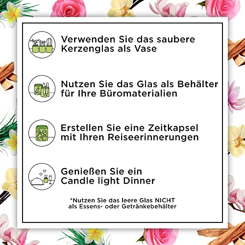 Botanica by Air Wick Duftkerzen Geschenkset – 3 verschiedene Düfte – Bis zu 40 Stunden pro Kerze - 3 x Kerze im Glas – In schöner Geschenkbox - mit natürlichen Inhaltsstoffen