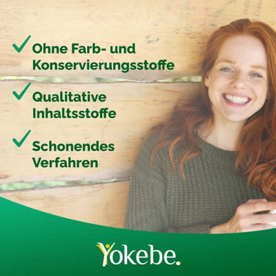 Yokebe Forte - Die Aktivkost - Diätshake zur Gewichtsabnahme - glutenfrei, laktosefrei und vegetarisch - Kalorienarmer Diät-Drink mit Proteinen - 500 g = 10 Portionen