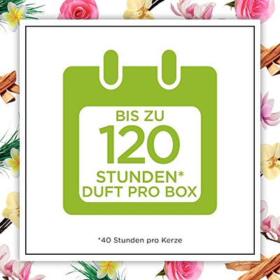 Botanica by Air Wick Duftkerzen Geschenkset – 3 verschiedene Düfte – Bis zu 40 Stunden pro Kerze - 3 x Kerze im Glas – In schöner Geschenkbox - mit natürlichen Inhaltsstoffen