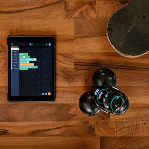 Wonder Workshop Cue Roboter auf Englisch - programmieren lernen für Kinder - Spielzeug