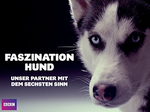 Faszination Hund - Unser Partner mit dem sechsten Sinn [dt./OV]