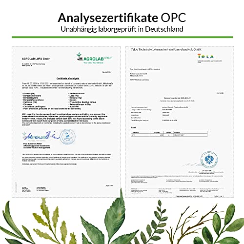 OPC Traubenkernextrakt - 240 Kapseln für 8 Monate - Laborgeprüftes OPC aus europäischen Weintrauben