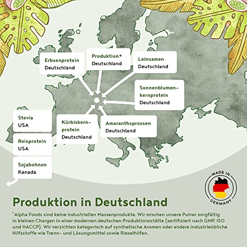 Vegan Protein - HASELNUSS - Pflanzliches Proteinpulver aus gesprossten Reis, Erbsen, Sojabohnen, Leinsamen, Amaranth, Sonnenblumen- und Kürbiskernen - 600g Pulver