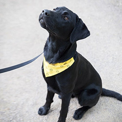 Borussia Dortmund BVB-Hundehalstuch, Schwarz/Gelb, 25