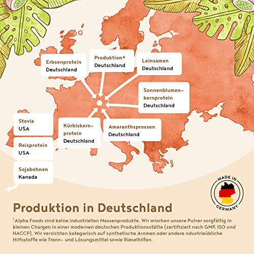 Vegan Protein - SNICKERDOODLE - Pflanzliches Proteinpulver aus gesprossten Reis, Erbsen, Sojabohnen, Leinsamen, Amaranth, Sonnenblumen- und Kürbiskernen - 600g Pulver