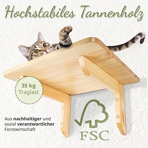 Neu I WOOWOOD Katzen-Kletterwand 2.0 I Innovative Katzen-Hängematte I inkl. 2 Katzentreppen I Katzen-Bett I Katzenmöbel I Wandkratzbaum I 3-teilig