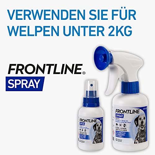 FRONTLINE SPOT ON gegen Zecken und Flöhe bei Katze 6 Stk.