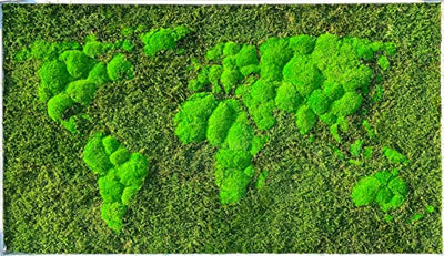 3D Moss World Gerahmte Karte - stabilisiertes Naturwaldmoos und nordische Flechten - Wanddekoration Innendekoration (112x65cm, grünes Moos - schwarzer Holzrahmen)