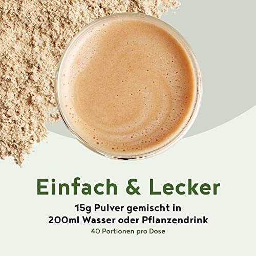 Vegan Protein - HASELNUSS - Pflanzliches Proteinpulver aus gesprossten Reis, Erbsen, Sojabohnen, Leinsamen, Amaranth, Sonnenblumen- und Kürbiskernen - 600g Pulver