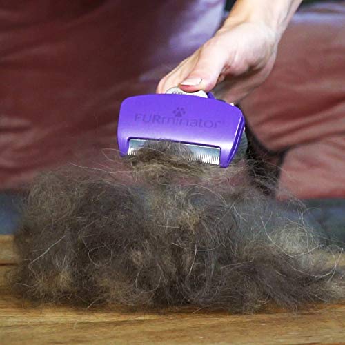 FURminator deShedding-Tool Katze Größe M/L Langhaar - Katzenbürste für mittelgroße bis große Katzen zur Entfernung der Unterwolle - Verbessertes Design