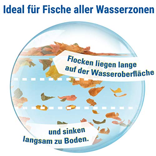 TetraMin Flakes - Fischfutter in Flockenform für alle Zierfische, ausgewogene Mischung für gesunde Fische und klares Wasser, 1 L Dose