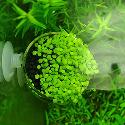 capetsma 2 x Glass Aquarium Plant Pot Aquatic Planter, Live Plants Aquarium Glashalter Aquascape Dekoration F¨¹R Fisch Tank