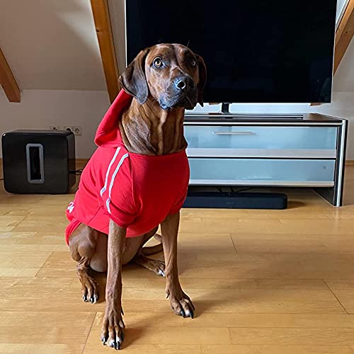 Eastlion Hund Pullover Welpen-T-Shirt Warm Pullover Mantel Pet Kleidung Bekleidung, Saphirblau, Gr. XL