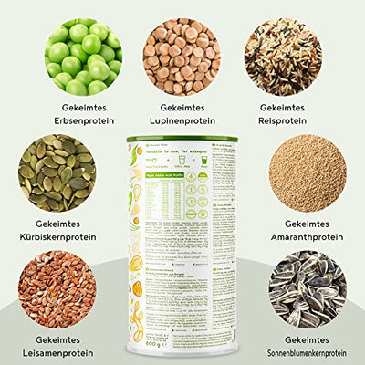 Vegan Protein - HASELNUSS - Pflanzliches Proteinpulver aus gesprossten Reis, Erbsen, Sojabohnen, Leinsamen, Amaranth, Sonnenblumen- und Kürbiskernen - 600g Pulver