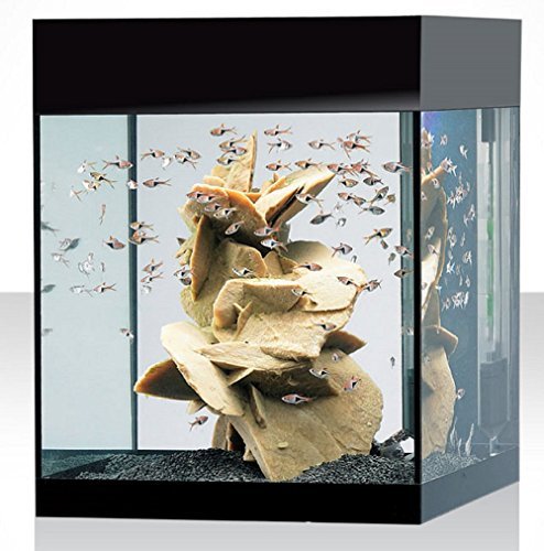 Askoll Aquarium-Set M ABSOLUTE BLACK