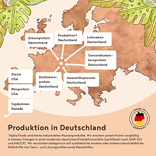 Vegan Protein - PUMPKIN SPICE - Pflanzliches Proteinpulver aus gesprossten Reis, Erbsen, Sojabohnen, Leinsamen, Amaranth, Sonnenblumen- und Kürbiskernen - 600g Pulver