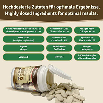 Veddelholzer VERGLEICHSSIEGER 2020 Hunde Gelenktabletten mit Grünlippmuschel Hund MSM & Teufelskralle Glucosamin & Kollagen 125 Kapseln Hunde Leckerlis mit Hyaluron & Omega3